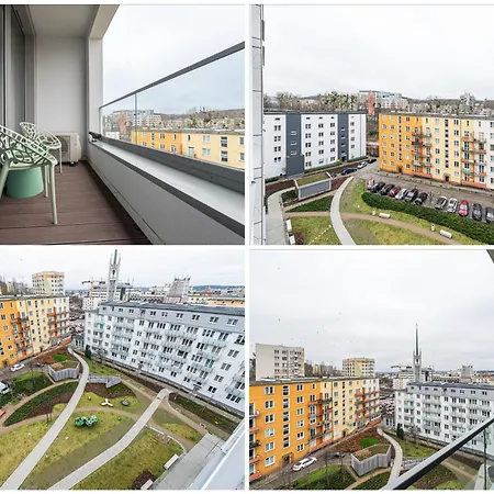 Atena Premium - Billberry *